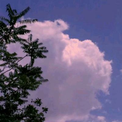 加拿大pc试玩平台下载手机版